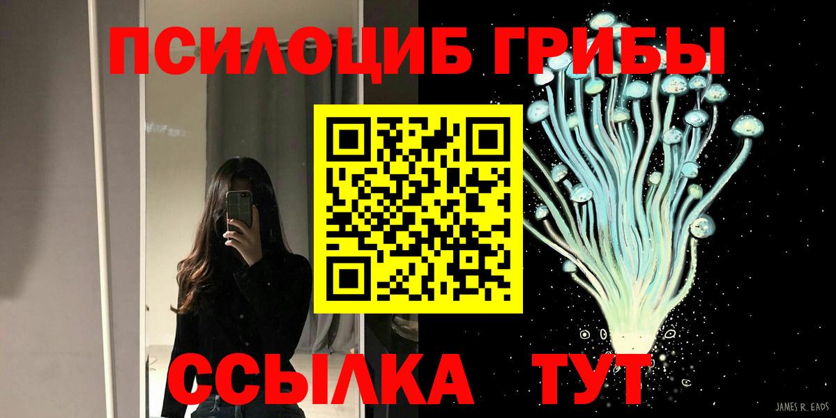 закладки  Псилоцибиновые грибы MAGIC MUSHROOMS  Вход с VPN  Усть-Илимск  Галлюциногенные грибы Psilocybe 